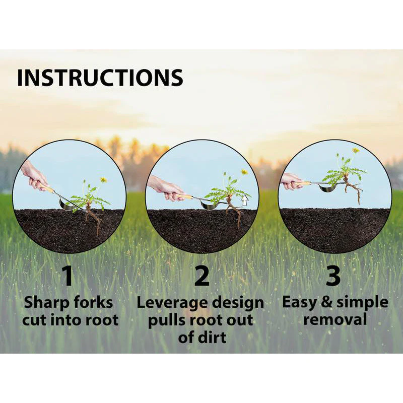 Weeder Tool - Image 3